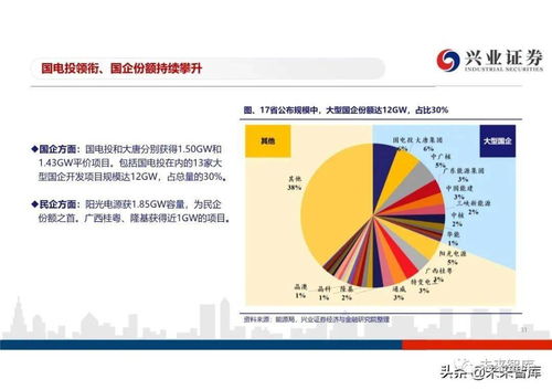 平价时代光伏投资新篇章 龙头企业引领行业未来